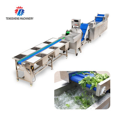 Fruit And Vegetable Processing Line with TS-M100 Parallel Brush Machine and Vacuum-packed Potato Strips