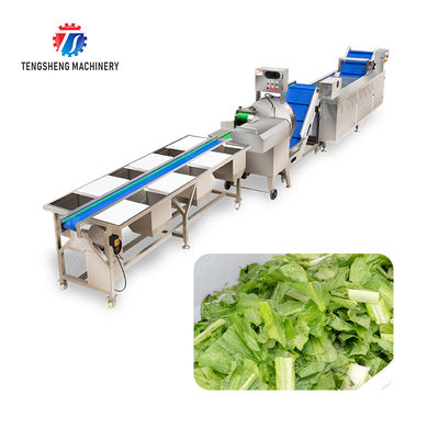 Fruit And Vegetable Processing Line with TS-M100 Parallel Brush Machine and Vacuum-packed Potato Strips