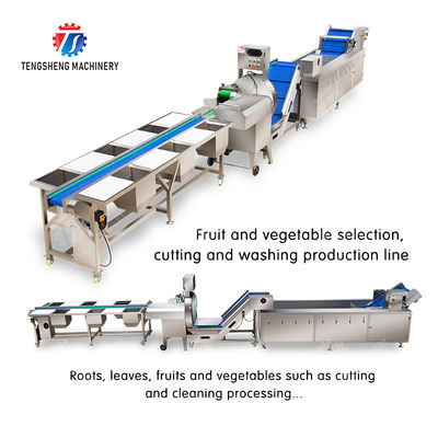 Fruit And Vegetable Processing Line with TS-M100 Parallel Brush Machine and Vacuum-packed Potato Strips