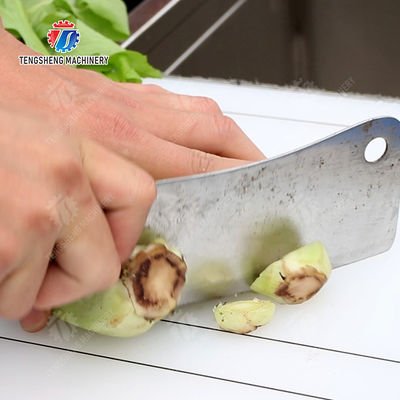 Fruit And Vegetable Processing Line with TS-M100 Parallel Brush Machine and Vacuum-packed Potato Strips
