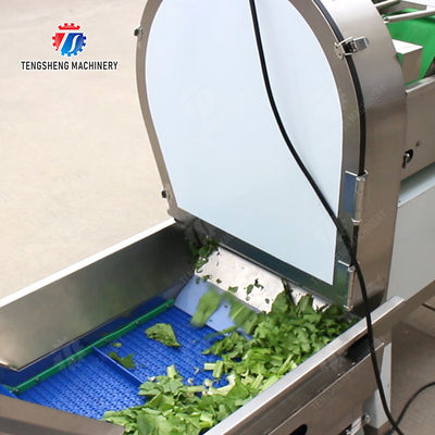 Fruit And Vegetable Processing Line with TS-M100 Parallel Brush Machine and Vacuum-packed Potato Strips