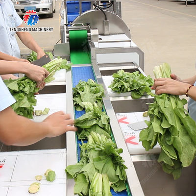 Fruit And Vegetable Processing Line with TS-M100 Parallel Brush Machine and Vacuum-packed Potato Strips