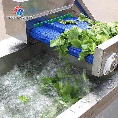 Fruit And Vegetable Processing Line with TS-M100 Parallel Brush Machine and Vacuum-packed Potato Strips