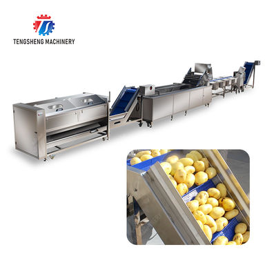 2025 Year Vacuum-packed Potato Strips Final Product with Fruit And Vegetable Processing Equipment
