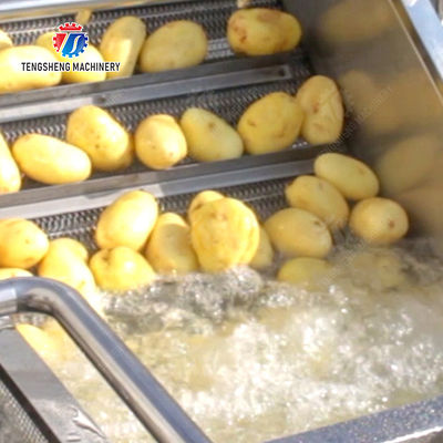 2025 Year Vacuum-packed Potato Strips Final Product with Fruit And Vegetable Processing Equipment