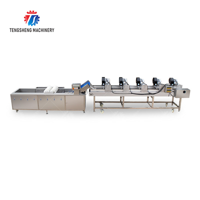 Fruits cleaning and drying production line
