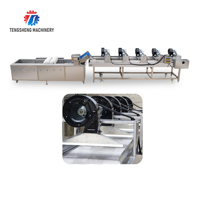 Fruits cleaning and drying production line