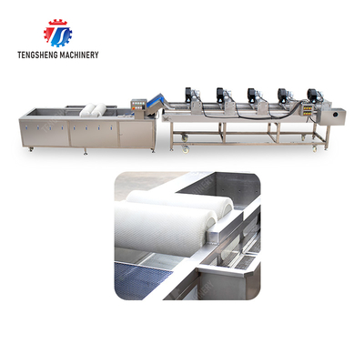 Fruits cleaning and drying production line