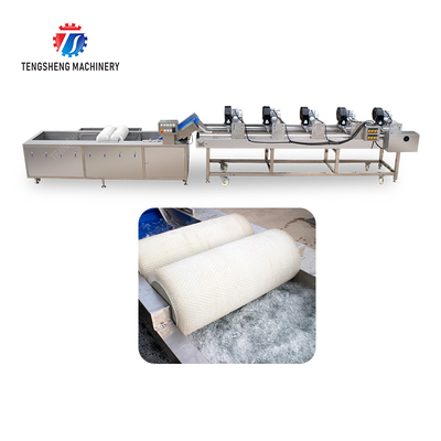 Fruits cleaning and drying production line