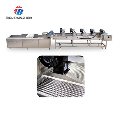 Fruits cleaning and drying production line