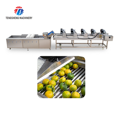 Fruits cleaning and drying production line