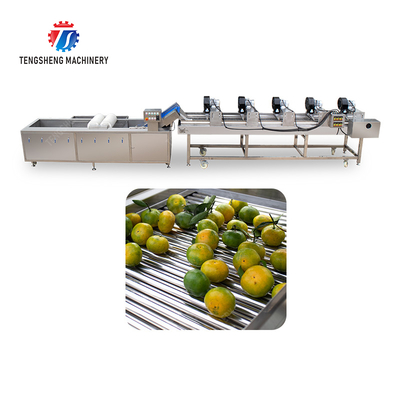 Fruits cleaning and drying production line