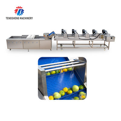 Customization Ozone Sterilization Fruit And Vegetable Processing Line Dry Detoxification