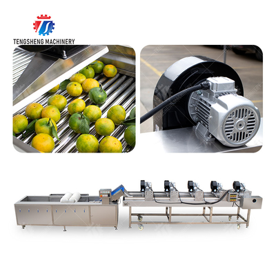 Fruits cleaning and drying production line