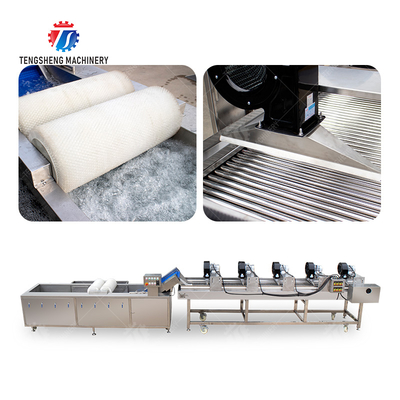 Fruits cleaning and drying production line