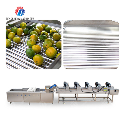 Fruits cleaning and drying production line