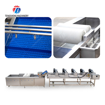 Fruits cleaning and drying production line