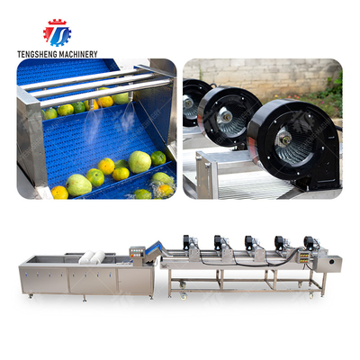 Fruits cleaning and drying production line