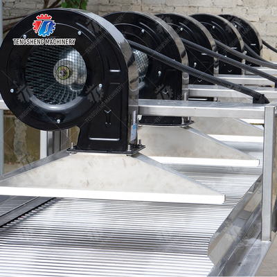 Fruits cleaning and drying production line