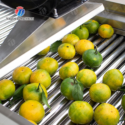 Fruits cleaning and drying production line