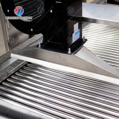 Fruits cleaning and drying production line