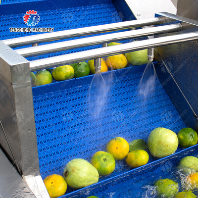 Fruits cleaning and drying production line