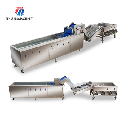 Fruit bubble washing and sorting production line Fruit Vegetable FOOD processing production Machine