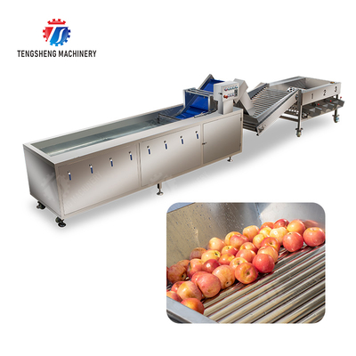 Fruit bubble washing and sorting production line Fruit Vegetable FOOD processing production Machine