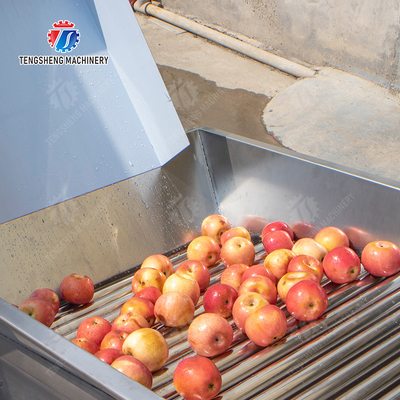 Fruit bubble washing and sorting production line Fruit Vegetable FOOD processing production Machine