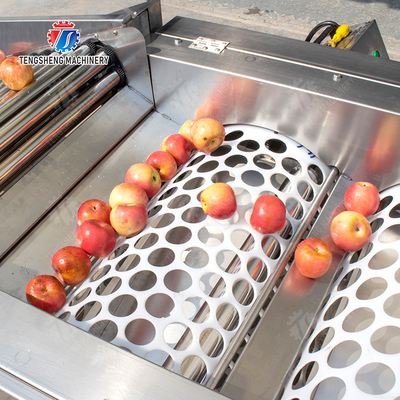 Fruit bubble washing and sorting production line Fruit Vegetable FOOD processing production Machine