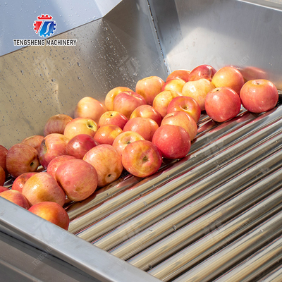 Fruit bubble washing and sorting production line Fruit Vegetable FOOD processing production Machine