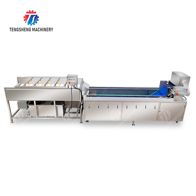Vegetable and fruit brush and washing production line