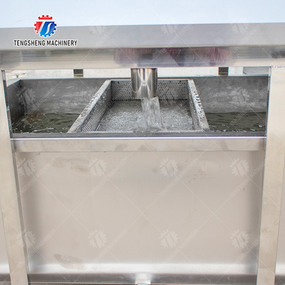 Vegetable and fruit brush and washing production line