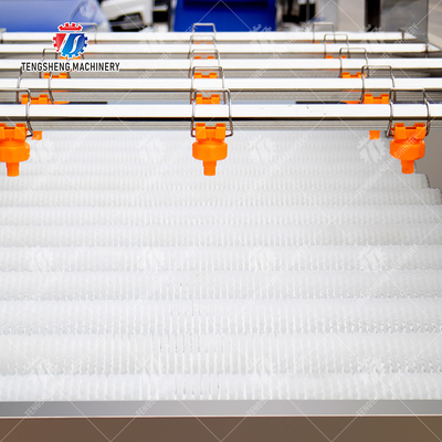 Vegetable and fruit brush and washing production line