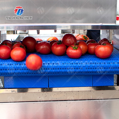 Vegetable and fruit brush and washing production line
