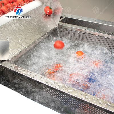 Vegetable and fruit brush and washing production line