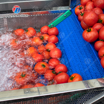Vegetable and fruit brush and washing production line