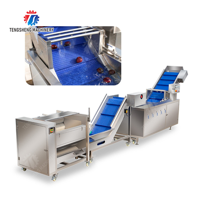 Roller brush bubble washing production line Fruit Vegetable FOOD processing production Machine