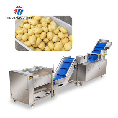 Roller brush bubble washing production line Fruit Vegetable FOOD processing production Machine