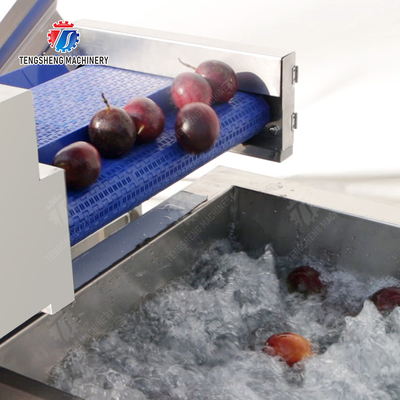 Roller brush bubble washing production line Fruit Vegetable FOOD processing production Machine