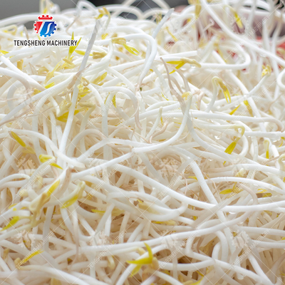 Single cylinder fruit and vegetable washing machine with slag separator Leaves Vegetables Onions Leafy vegetables Cabbage varieties Herbs Fruiting vegetables Wash Washer Washing Cleaning processing