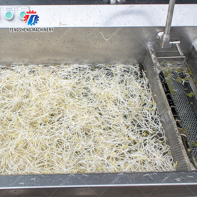 Single cylinder fruit and vegetable washing machine with slag separator Leaves Vegetables Onions Leafy vegetables Cabbage varieties Herbs Fruiting vegetables Wash Washer Washing Cleaning processing