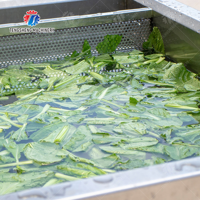 Single cylinder fruit and vegetable washing machine with slag separator Leaves Vegetables Onions Leafy vegetables Cabbage varieties Herbs Fruiting vegetables Wash Washer Washing Cleaning processing