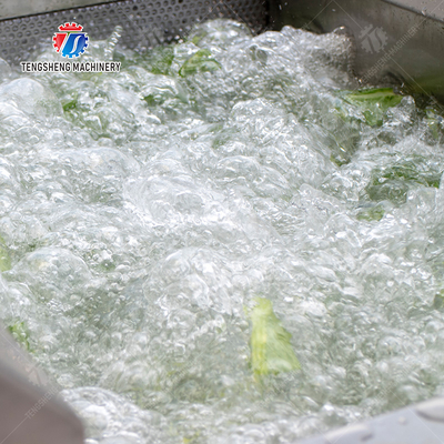 Single cylinder fruit and vegetable washing machine with slag separator Leaves Vegetables Onions Leafy vegetables Cabbage varieties Herbs Fruiting vegetables Wash Washer Washing Cleaning processing