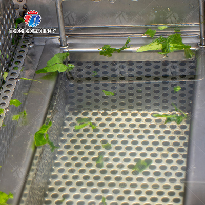 Single cylinder fruit and vegetable washing machine with slag separator Leaves Vegetables Onions Leafy vegetables Cabbage varieties Herbs Fruiting vegetables Wash Washer Washing Cleaning processing