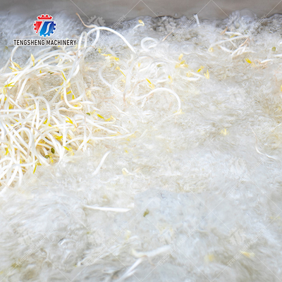 Single cylinder fruit and vegetable washing machine with slag separator Leaves Vegetables Onions Leafy vegetables Cabbage varieties Herbs Fruiting vegetables Wash Washer Washing Cleaning processing