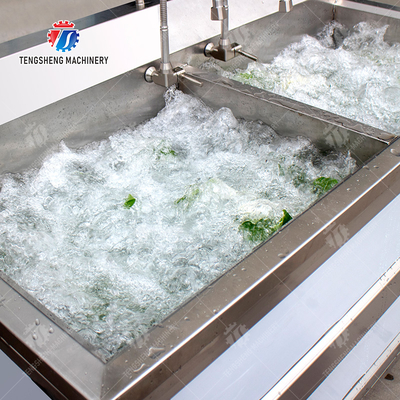 Fruit Orange Leaves Vegetables sward beans  Herbs Fruiting vegetables Wash Washer Washing Cleaning processing production Double cylinder fruit and vegetable washing machine