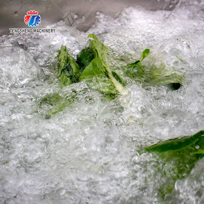 Fruit Orange Leaves Vegetables sward beans  Herbs Fruiting vegetables Wash Washer Washing Cleaning processing production Double cylinder fruit and vegetable washing machine
