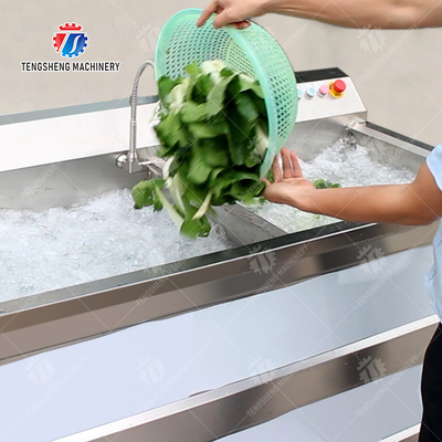 Fruit Orange Leaves Vegetables sward beans  Herbs Fruiting vegetables Wash Washer Washing Cleaning processing production Double cylinder fruit and vegetable washing machine