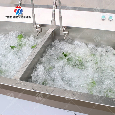 Fruit Orange Leaves Vegetables sward beans  Herbs Fruiting vegetables Wash Washer Washing Cleaning processing production Double cylinder fruit and vegetable washing machine